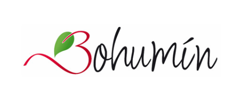 Město Bohumín